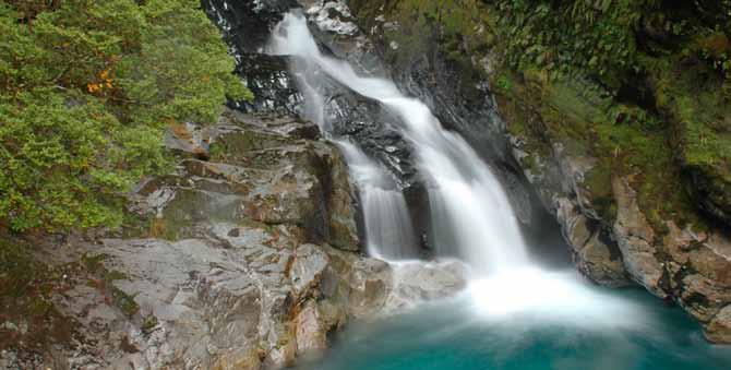 河道水處理全套現(xiàn)場技術服務